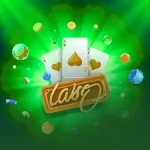 너구리벳 라이브벳 완전 가이드: 실시간 스포츠 배팅, 다양한 라이브 옵션과 안전한 이용 방법까지 상세 분석